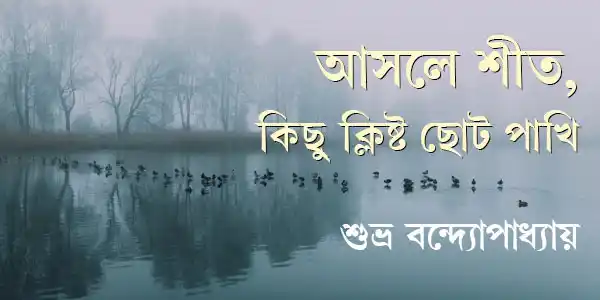 আসলে শীত, কিছু ক্লিষ্ট ছোট পাখি
