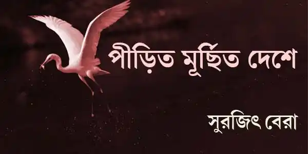 pirita-murchita-deshe-microfiction-surajit-bera-ketab-e