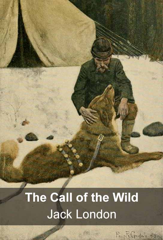 the-call-of-the-wild-short-adventure-novel-jack-london